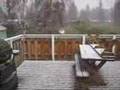 Weird Ferndale Weather