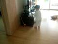 videos de Playing Ethan