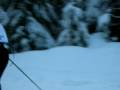 Skijoring Skijoring