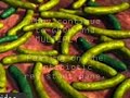 The Wonderful World of Antibiotic Resistance