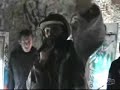 Jah Tool & Angata Sound - Bordardou� Belle Isle - Et� 2007