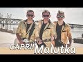 CAPRII - Malutka