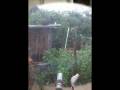 The funniest moments with my pets