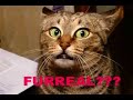 THE BOHEMIAN CATURDAY VIDEO - Edie Brickell