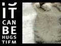 videos de THE BOHEMIAN CATURDAY VIDEO - Edie Brickell