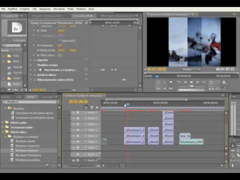 Animazioni in Premiere Pro CS4: guida pratica Animazioni in Premiere Pro CS4: guida pratica