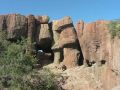 Desert Museum in Arizona Exhibits Native Plants and Animals
