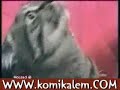tuhaf sesler �ikaran kedi