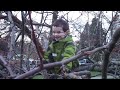 Carter the tree climber