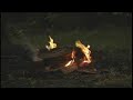 Virtual Flames.com Fireplace Video DVD Samples