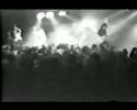Vid�o Suck Trilogy de Meatmen