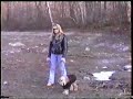Seeing Eye Dog For A Blind Dog