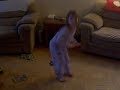 ma fille jenika qui chante une chanson d'annie brocoli