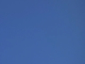 260