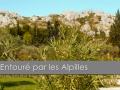 propriete d'exception maussane les alpilles
