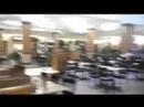 Transcendentalism... At The Mall Part Two