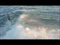 video thumbnail for SANTA CRUZ HARBOR MOUTH - december 21, 2007