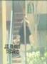 Surveillance Video of Heidi Diaz (Kimmer) Kimkins Diet Scam