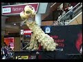 CYL Lion Dance 2008 Moon Festival Sydney