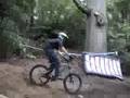 freeriding