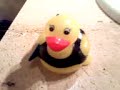 thele-duck.html