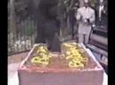 possesed wedding cake