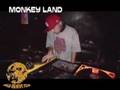 MONKEY LAND 3 @BED (CM)