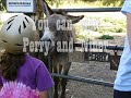 pdi/dreamworks did not have to look far to find the real life model for the quirky donkey in shrek. a miniature donkey named perry was in nearby barron park, ca at bol park. actually, miner forty-niner was first considered, but perry quickly won their hearts. 
you can actually visit both donkeys at bol park on sunday mornings (9:30-10-30, weather permitting) and at the nearby corral (right over the joggers footbridge from bol park proper.) 
see http://www.bpaonline.org for the park's website, and follow link to the donkey page, with photos and stories.
bol park is located on laguna avenue between barron and matadero avenues. matadero intersects el camino real. 
the donkeys are taken from their corral and walked to the grassy area of the park on most sundays mornings at 9:30 am. as doug moran explains in the video, the donkeys are desert animals and do not digest non-hay foods. no apples, no carrots, please! don't feed the donkeys.
hey, i scooped the news media. see our local station's video about perry, and how he was paid only $75 to be the model. they say it costs $5,000 a year to care for each donkey. unfair to burrows! ;-)
http://video.nbc11.com/player/?id=114711