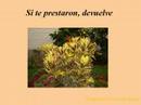 Ser�a tan f�cil (Too much heaven - Carlos Paredes Abad)