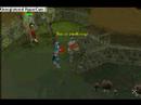 dragon scimi spec!