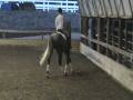 videos de Winnie - trotting