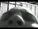 Motorhead Raod Movie III pt1