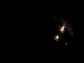 karl-wolf-eve-butterflies-live-.html
