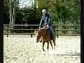 videos de Lil Whiz Conquest 2 yo 2008
