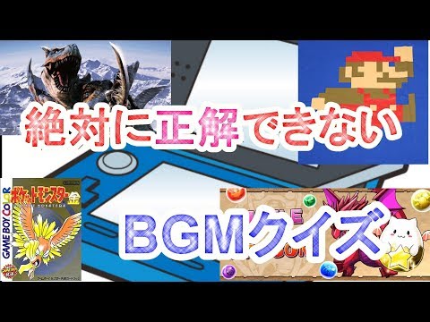 動画