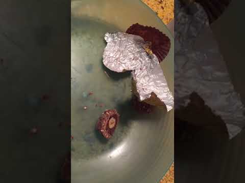 Ferrero Rocher - Maggots inside Rocher chocolate