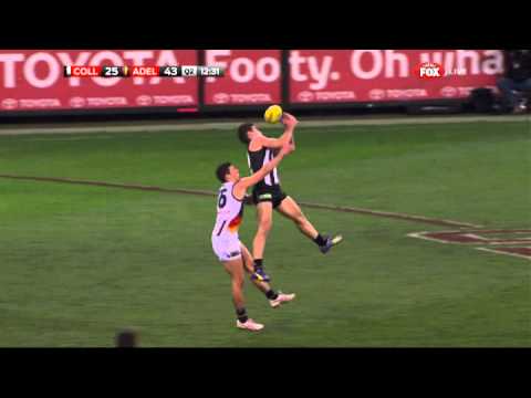 Your classic falcon - AFL