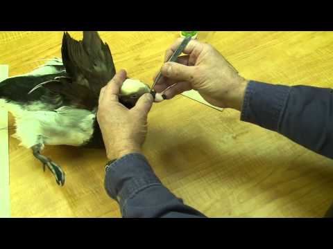 how to attach process in vs 2012