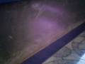 videos de hungry cat 2.3gp