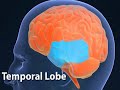 Understanding Partial Seizures (Epilepsy #3) Understanding Partial Seizures (Epilepsy #3)