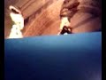 dinosaurs