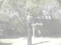 poi hybrids tutorial
