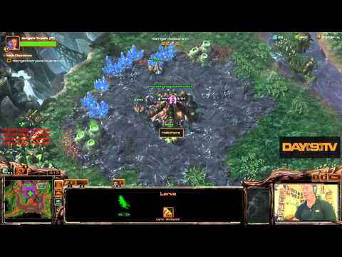 starcraft 2 swarm