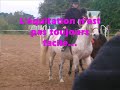 ptit montage pour le groupe du samedi matin!!lol
nos plus mauvais moments!!!lol
et oui on peux pas �tre au top tout les jours!!!