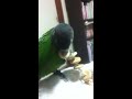 Click here to watch this video あ～落ちちゃったぁぅ