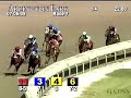 ARLINGTON PARK, 2008-07-06, Race 7