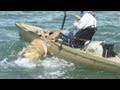 One of the Largest Fish ever landed from a Kayak