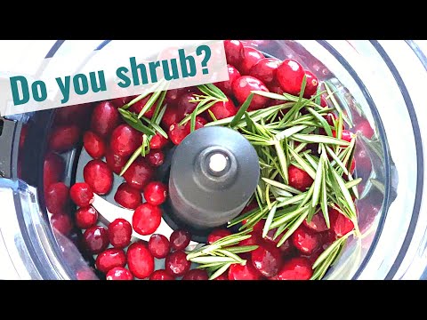 Shrub 101: How to Make a Delicious and Refreshing Fruit-Based Cocktail/Mocktail  #shrubs