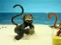 monito alsado