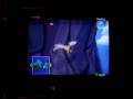 videos de loz wind waker glitch